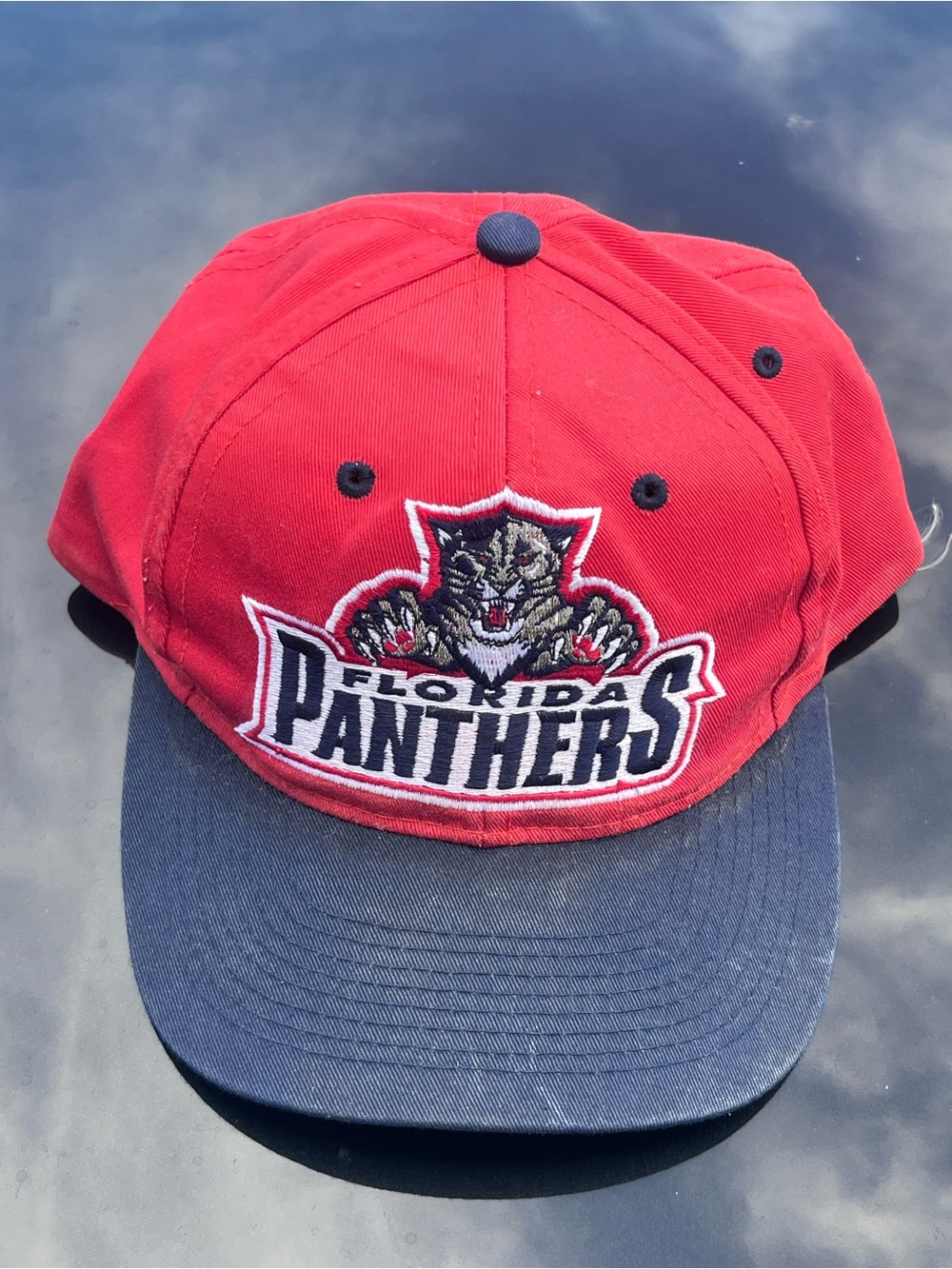 Florida panthers logo 7 SnapBack cap